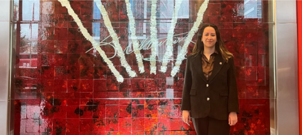 CHP Ankara İl Kadın Kolları Başkanı Ayça Çağlar: “185 Bin Sandık Görevlimizle Erken Seçime Hazırız” - GÜNDEM - İnternetin Ajansı