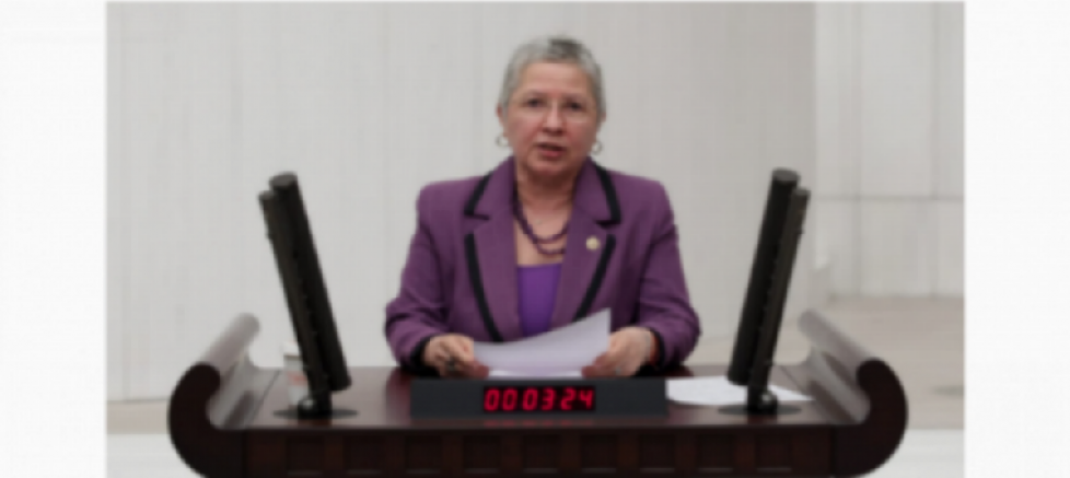 CHP Tekirdağ Milletvekili Nurten Yontar: “İlk Evim Arsa Projesi’nde Üç Yıldır Adım Atılmadı, Hak Sahiplerinin Mağduriyeti Artıyor” - GÜNDEM - İnternetin Ajansı