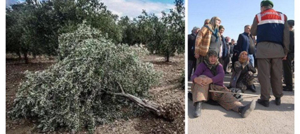 Gelecek Partisi Yozgat İl Başkanı Ömer Aydoğmuş: “Türkiye Kuruyor, Toprak Susarsa Gelecek de Susar!” - GÜNDEM - İnternetin Ajansı