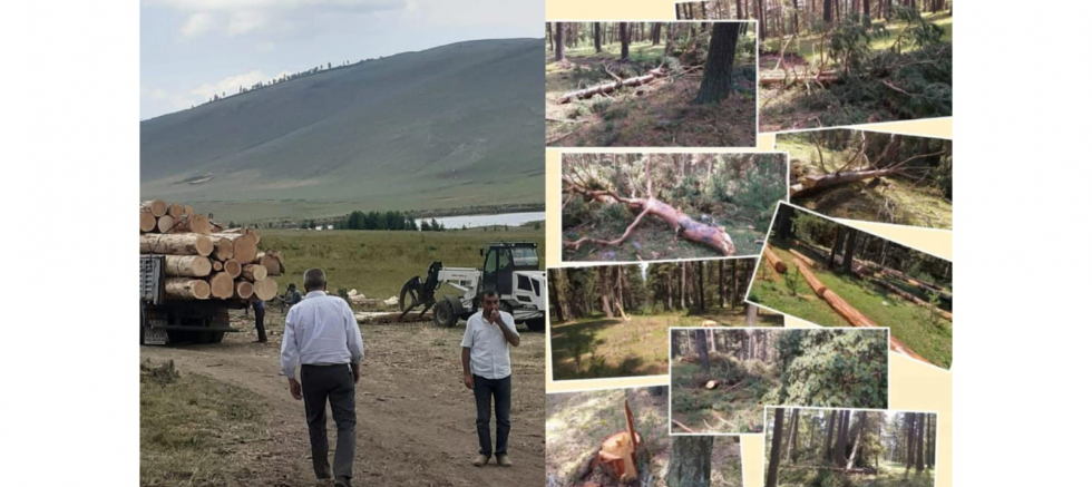 Recai Özalp: “Batıda yakıyorlar, doğuda kesiyorlar; Ardahan’ın ormanları kaderine terk edilemez” - GÜNDEM - İnternetin Ajansı