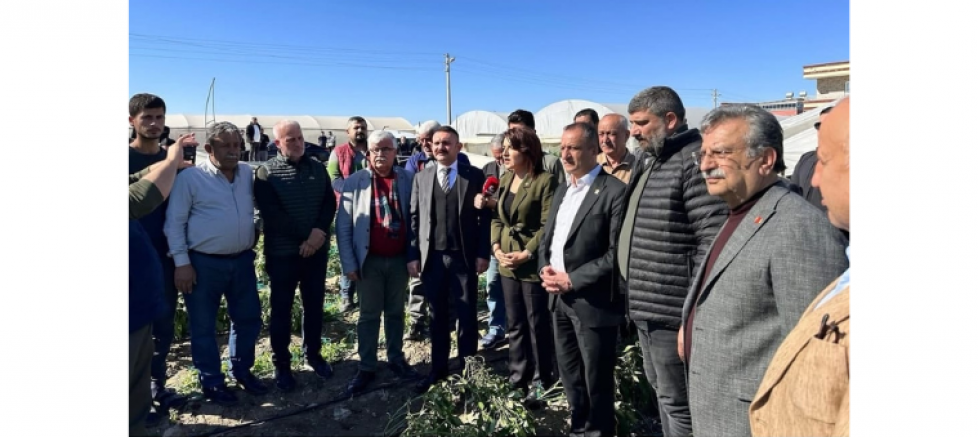 Semih Palamut: “Üreticimizin Yaralarını Birlikte Saracak, Seslerini Ankara’ya Duyuracağız” - GÜNDEM - İnternetin Ajansı