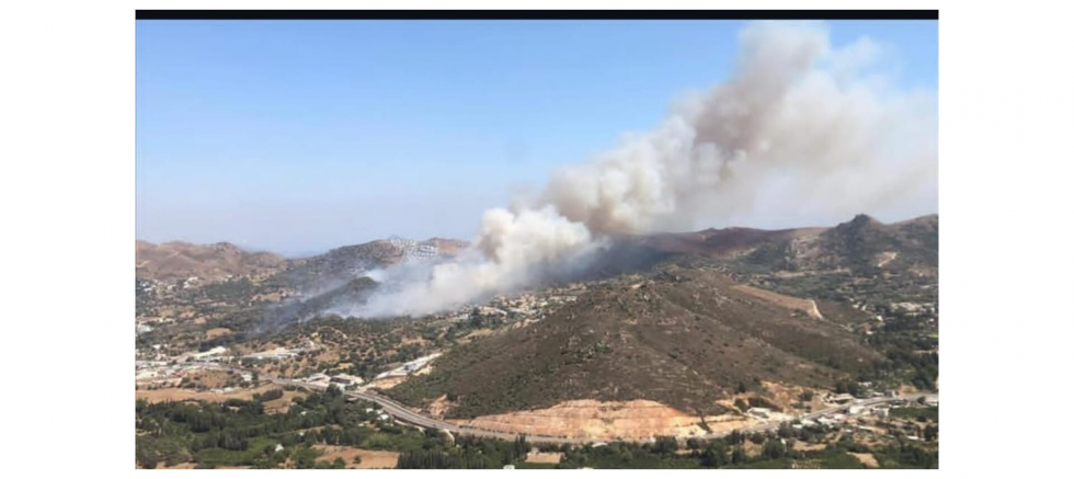 Süleyman Bülbül: “Bozdoğan’daki Yangında Gecikme İhmaldir – Ormanlarımız İhmali Affetmez” - GÜNDEM - İnternetin Ajansı